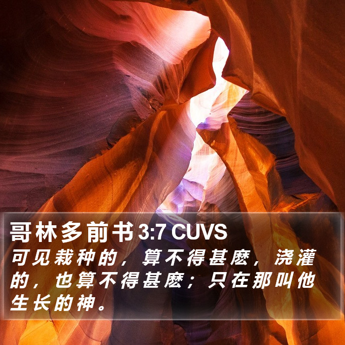 哥 林 多 前 书 3:7 CUVS Bible Study