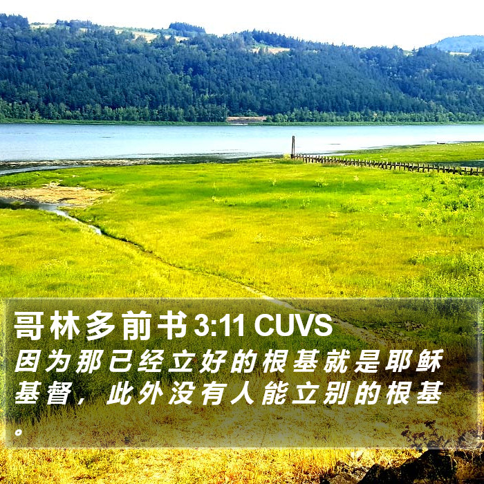 哥 林 多 前 书 3:11 CUVS Bible Study