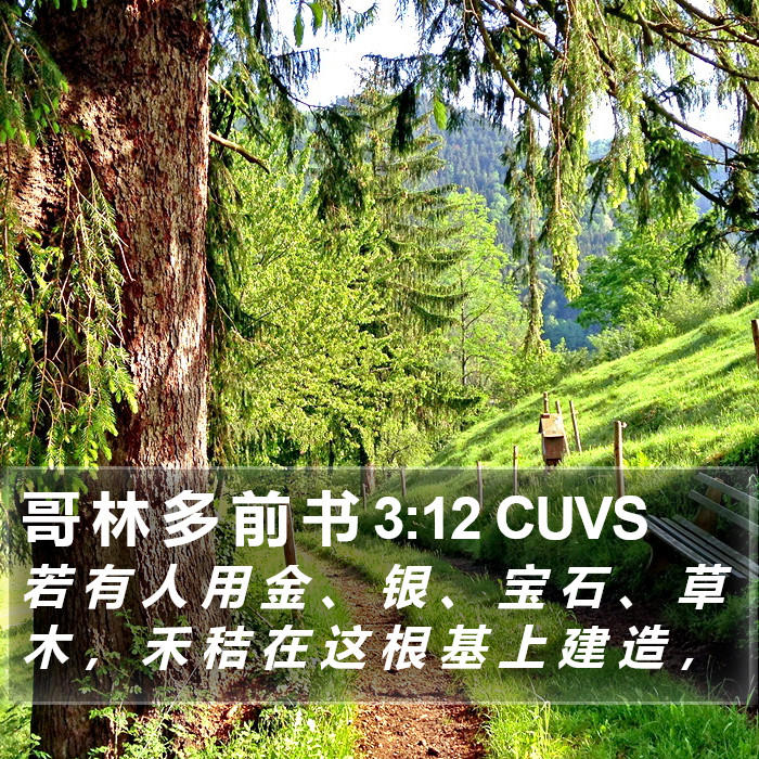 哥 林 多 前 书 3:12 CUVS Bible Study