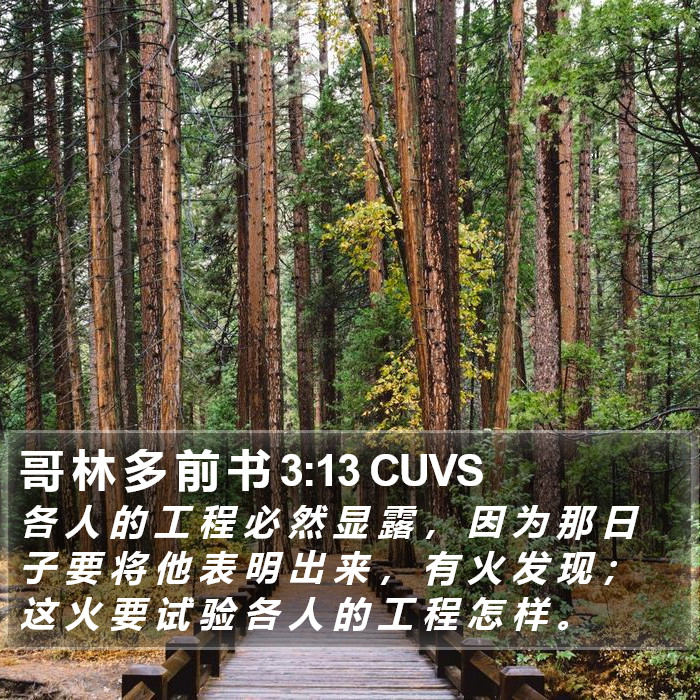 哥 林 多 前 书 3:13 CUVS Bible Study