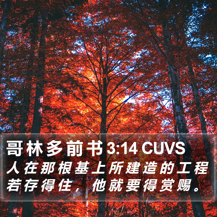 哥 林 多 前 书 3:14 CUVS Bible Study