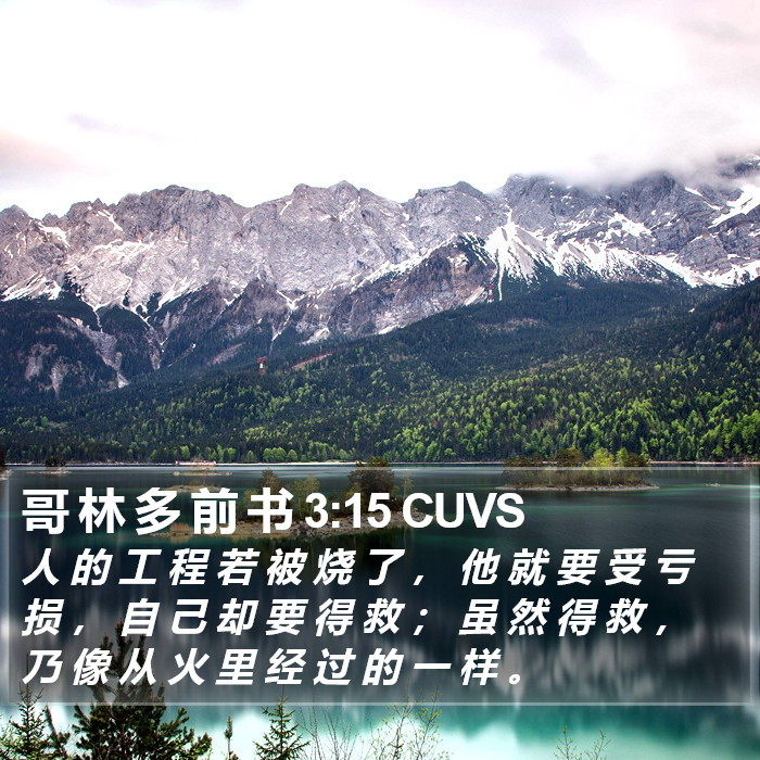哥 林 多 前 书 3:15 CUVS Bible Study