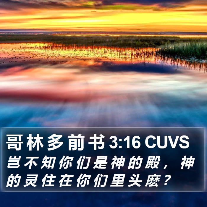 哥 林 多 前 书 3:16 CUVS Bible Study