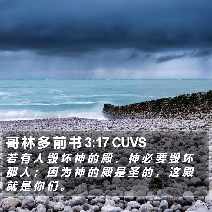 哥 林 多 前 书 3:17 CUVS Bible Study