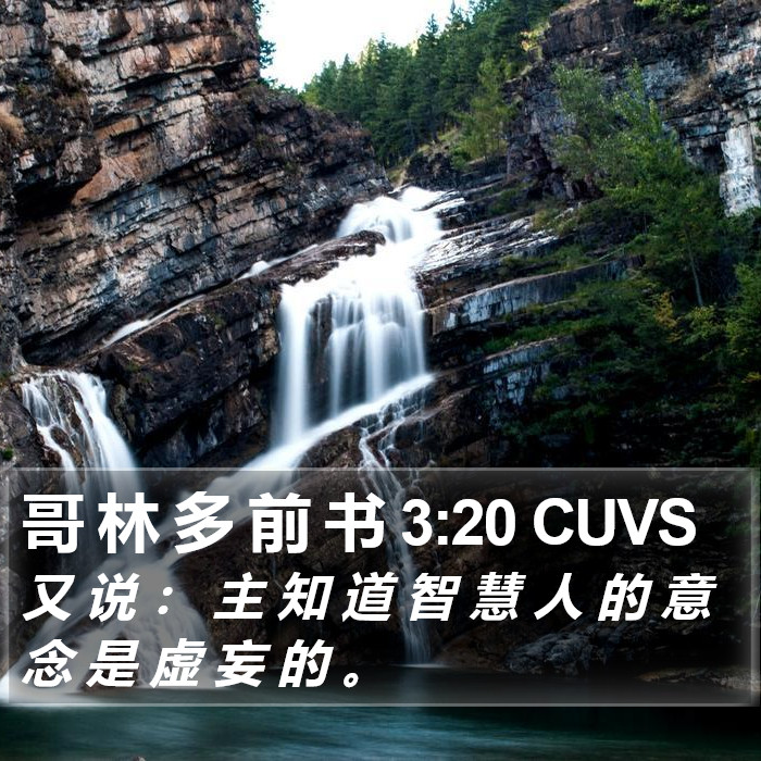 哥 林 多 前 书 3:20 CUVS Bible Study