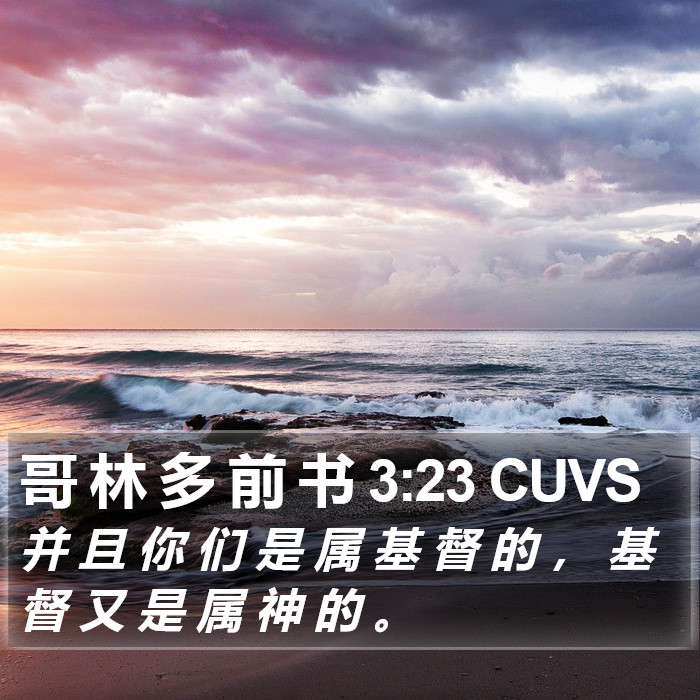 哥 林 多 前 书 3:23 CUVS Bible Study