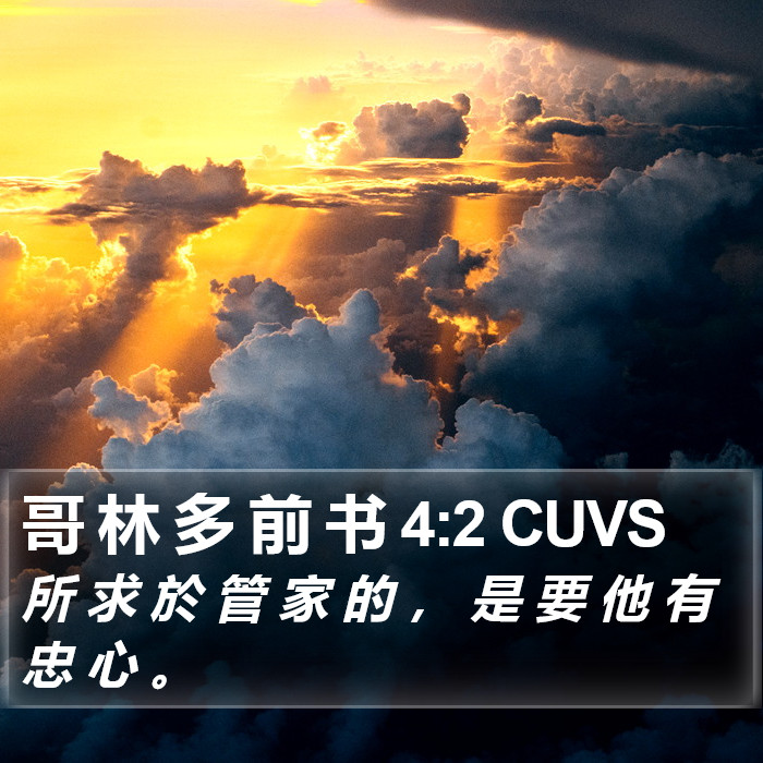 哥 林 多 前 书 4:2 CUVS Bible Study