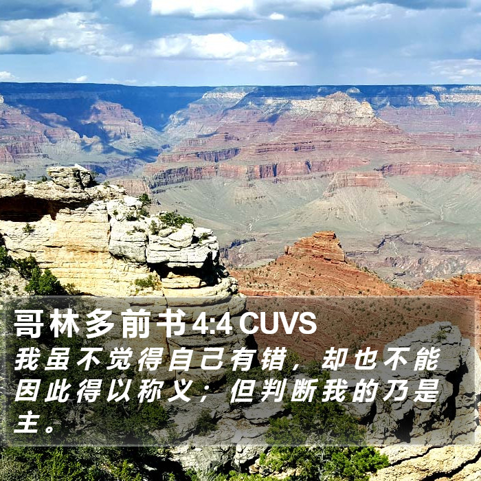 哥 林 多 前 书 4:4 CUVS Bible Study