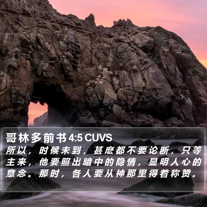 哥 林 多 前 书 4:5 CUVS Bible Study