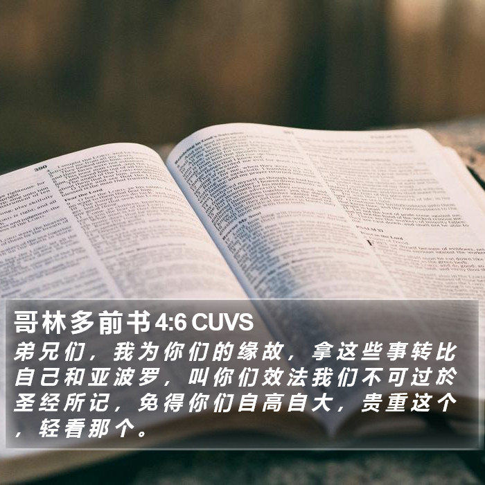哥 林 多 前 书 4:6 CUVS Bible Study