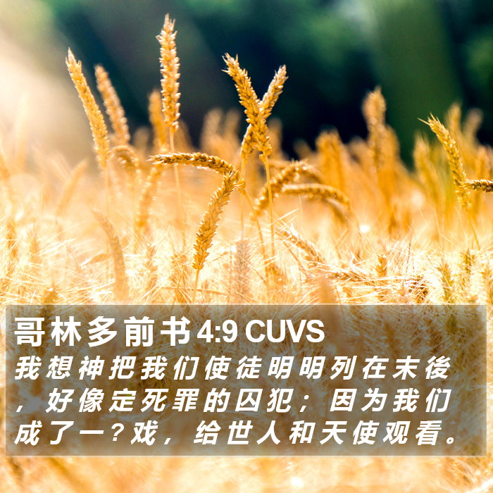哥 林 多 前 书 4:9 CUVS Bible Study