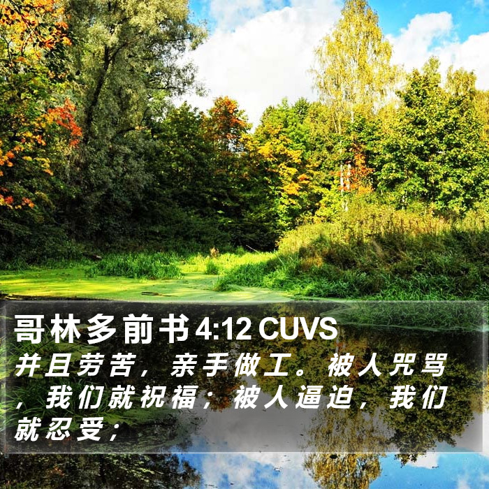 哥 林 多 前 书 4:12 CUVS Bible Study