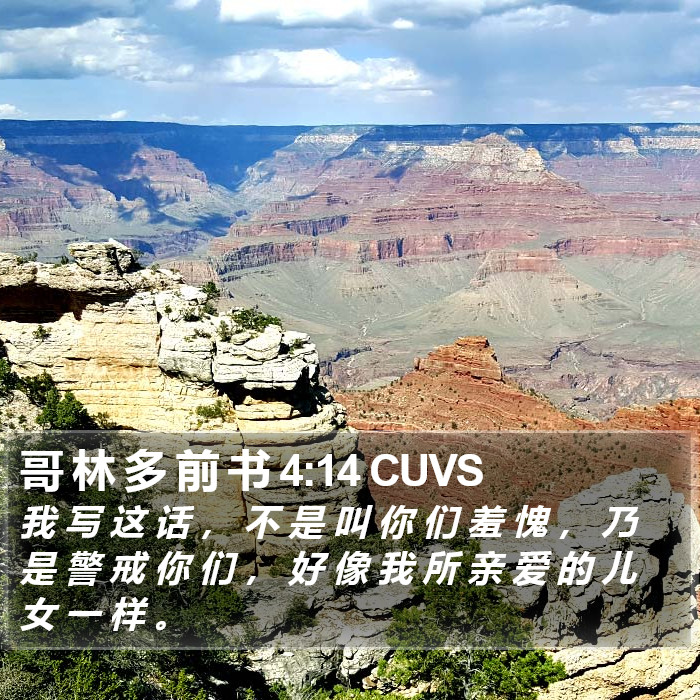 哥 林 多 前 书 4:14 CUVS Bible Study