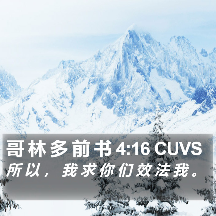 哥 林 多 前 书 4:16 CUVS Bible Study