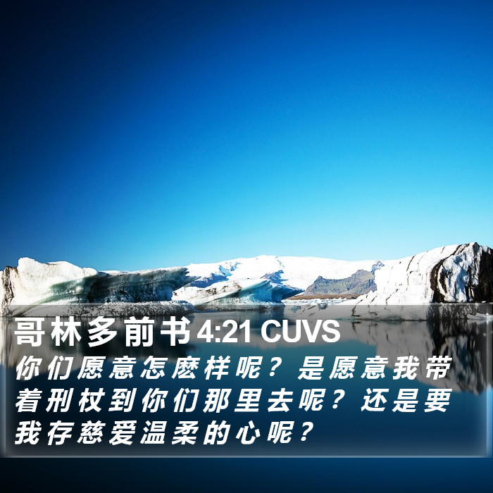 哥 林 多 前 书 4:21 CUVS Bible Study