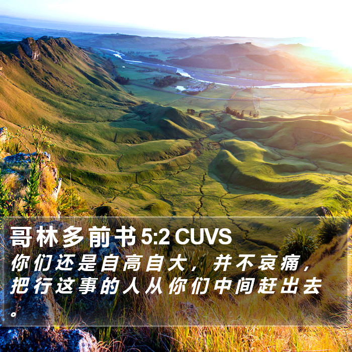 哥 林 多 前 书 5:2 CUVS Bible Study
