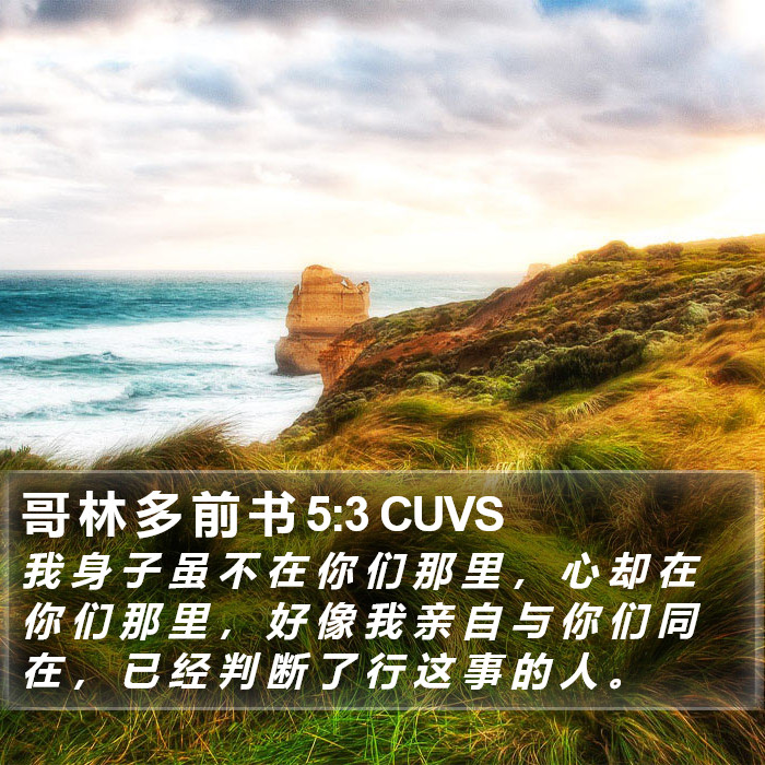 哥 林 多 前 书 5:3 CUVS Bible Study