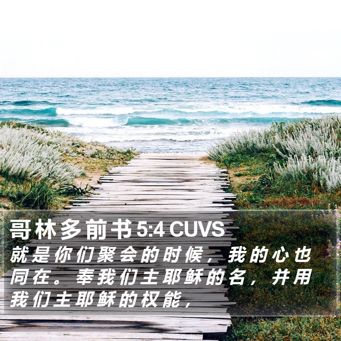 哥 林 多 前 书 5:4 CUVS Bible Study