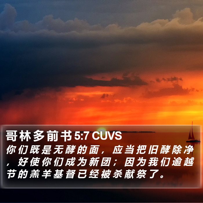 哥 林 多 前 书 5:7 CUVS Bible Study