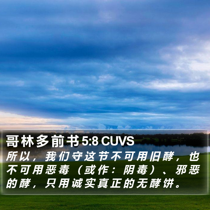 哥 林 多 前 书 5:8 CUVS Bible Study