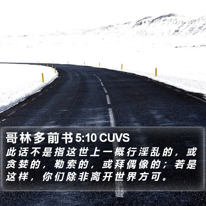 哥 林 多 前 书 5:10 CUVS Bible Study