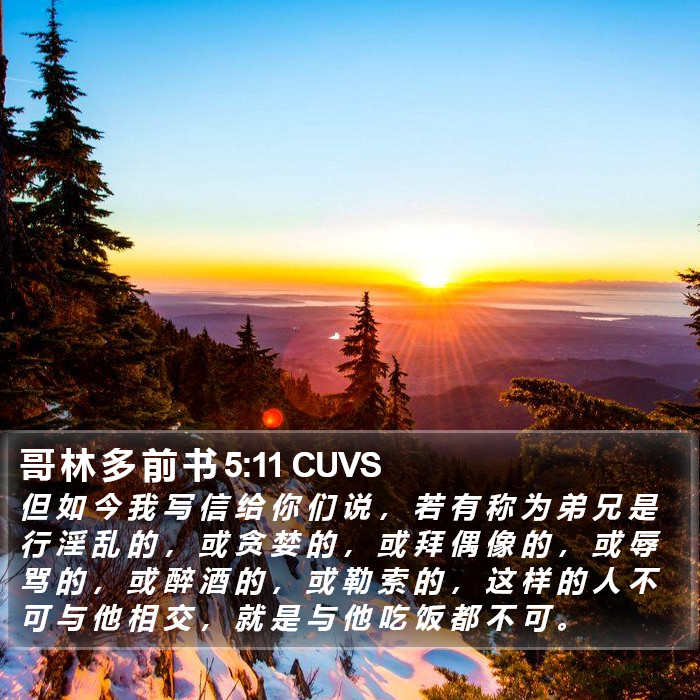 哥 林 多 前 书 5:11 CUVS Bible Study