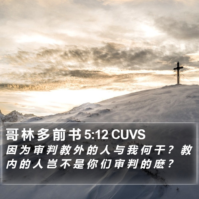 哥 林 多 前 书 5:12 CUVS Bible Study