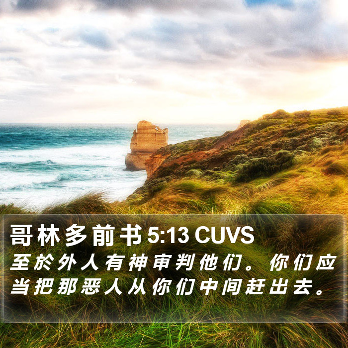哥 林 多 前 书 5:13 CUVS Bible Study