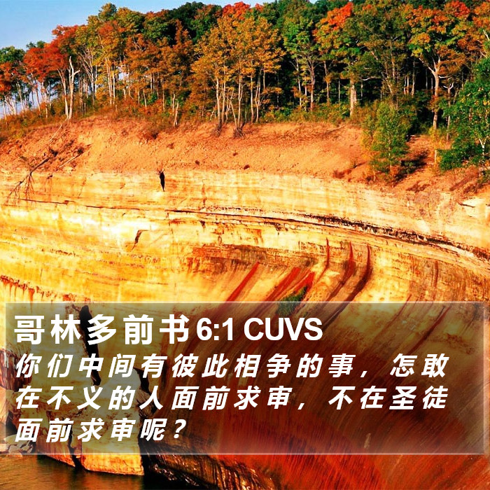 哥 林 多 前 书 6:1 CUVS Bible Study