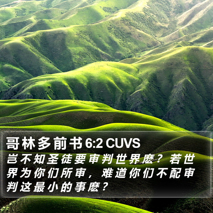 哥 林 多 前 书 6:2 CUVS Bible Study