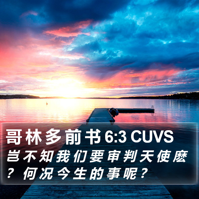 哥 林 多 前 书 6:3 CUVS Bible Study