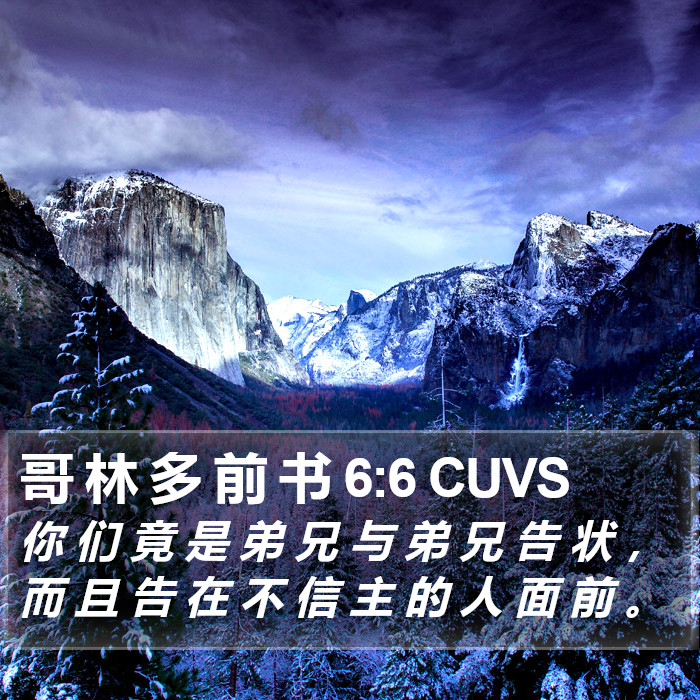哥 林 多 前 书 6:6 CUVS Bible Study