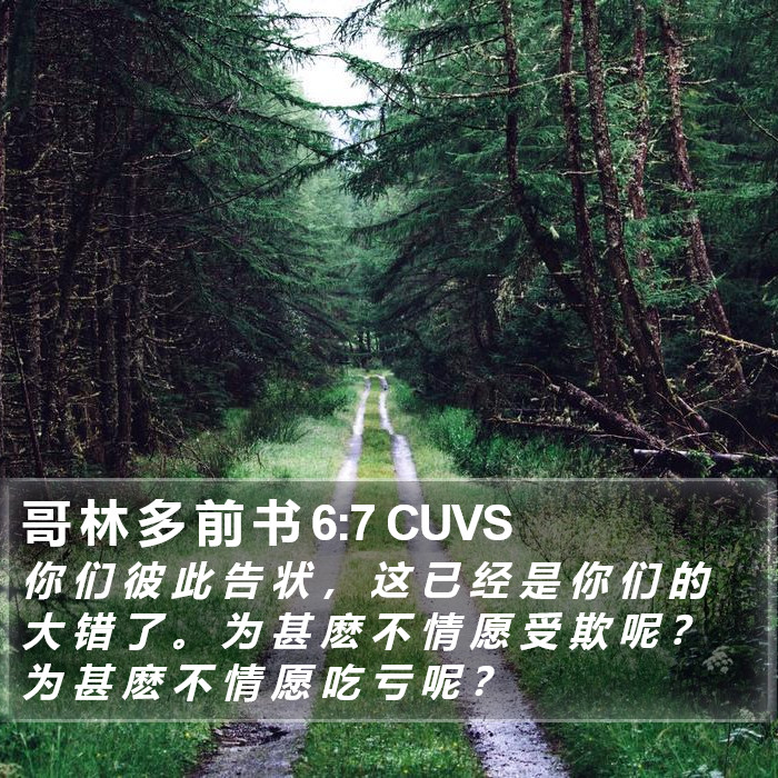 哥 林 多 前 书 6:7 CUVS Bible Study