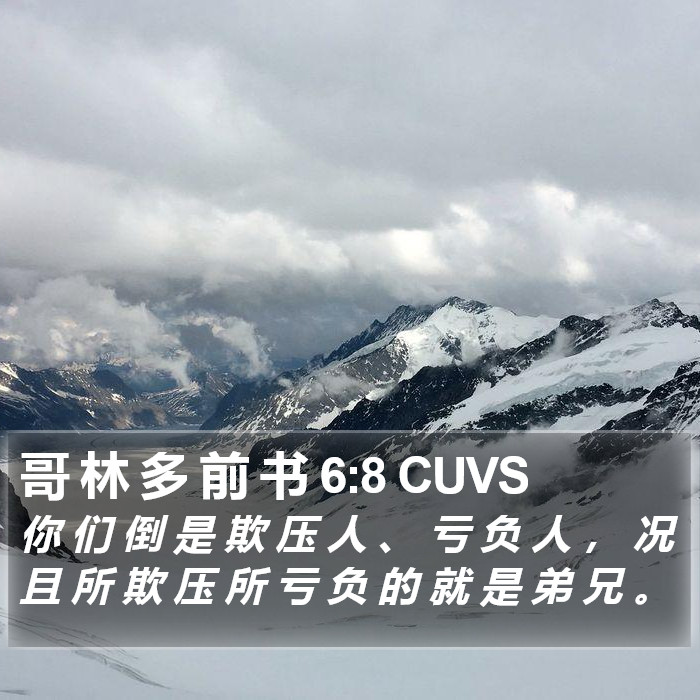 哥 林 多 前 书 6:8 CUVS Bible Study