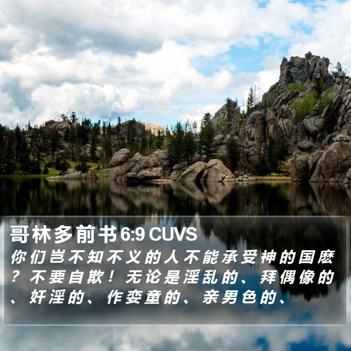 哥 林 多 前 书 6:9 CUVS Bible Study
