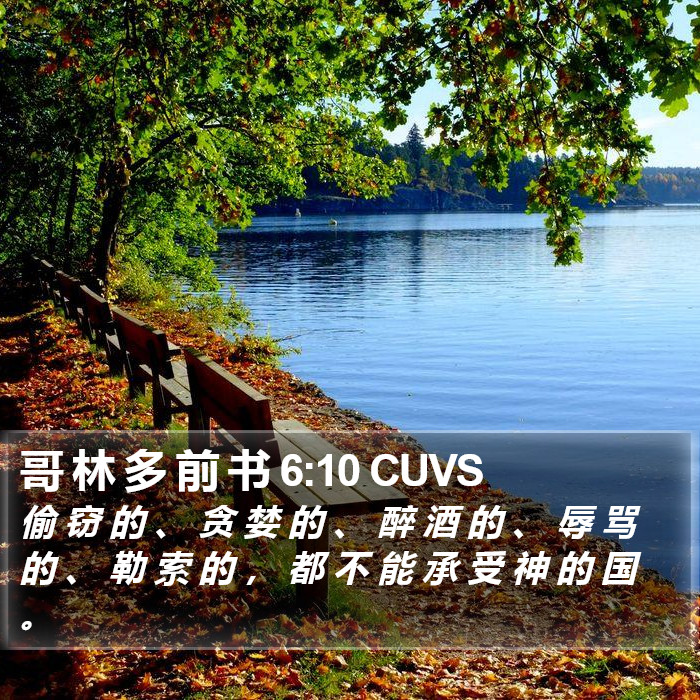 哥 林 多 前 书 6:10 CUVS Bible Study