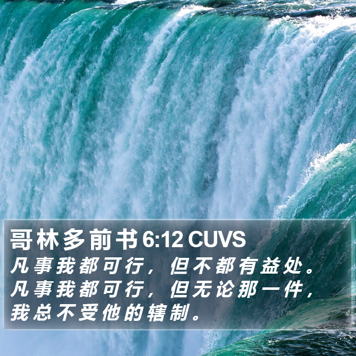 哥 林 多 前 书 6:12 CUVS Bible Study
