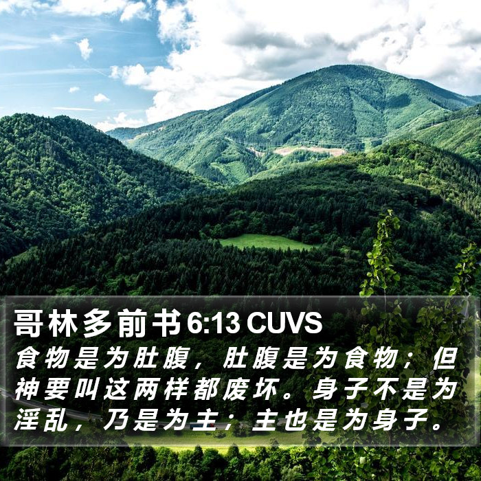哥 林 多 前 书 6:13 CUVS Bible Study