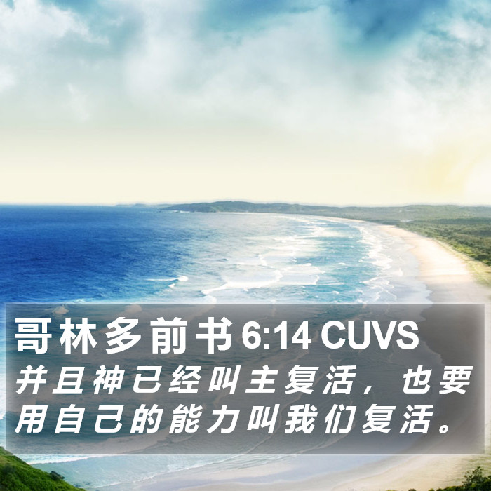 哥 林 多 前 书 6:14 CUVS Bible Study