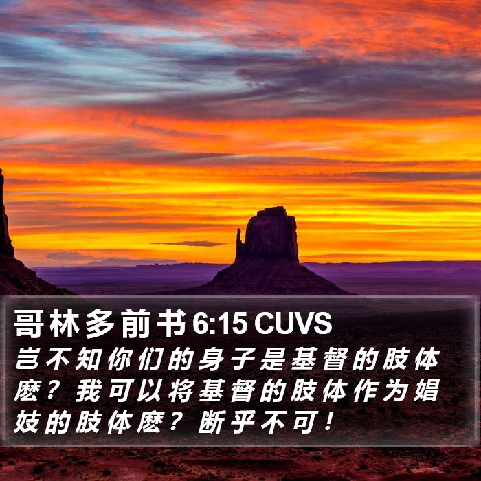 哥 林 多 前 书 6:15 CUVS Bible Study