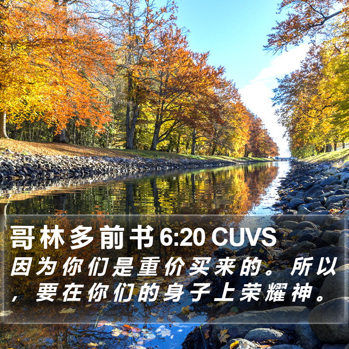 哥 林 多 前 书 6:20 CUVS Bible Study