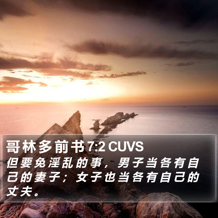 哥 林 多 前 书 7:2 CUVS Bible Study