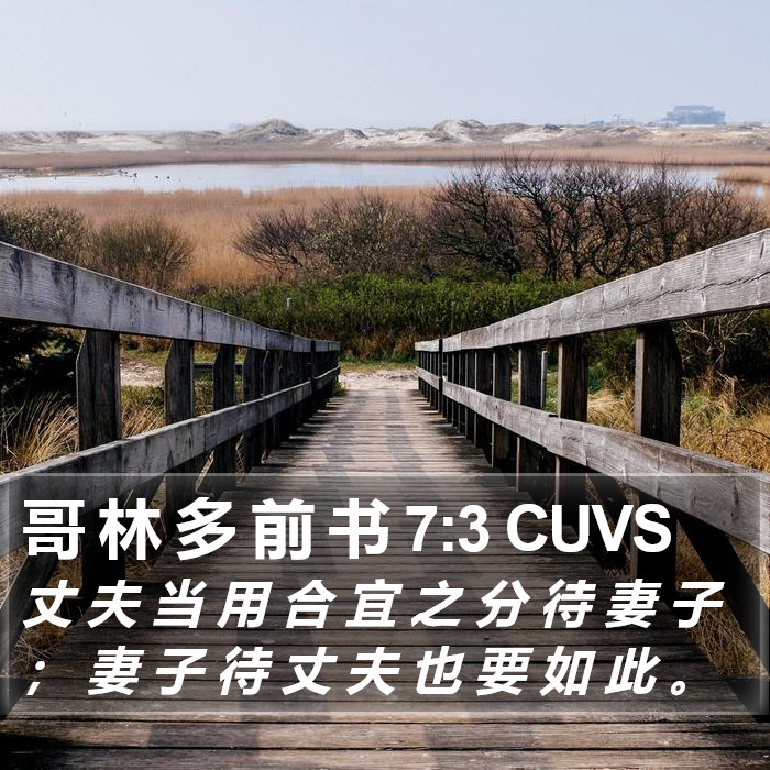 哥 林 多 前 书 7:3 CUVS Bible Study