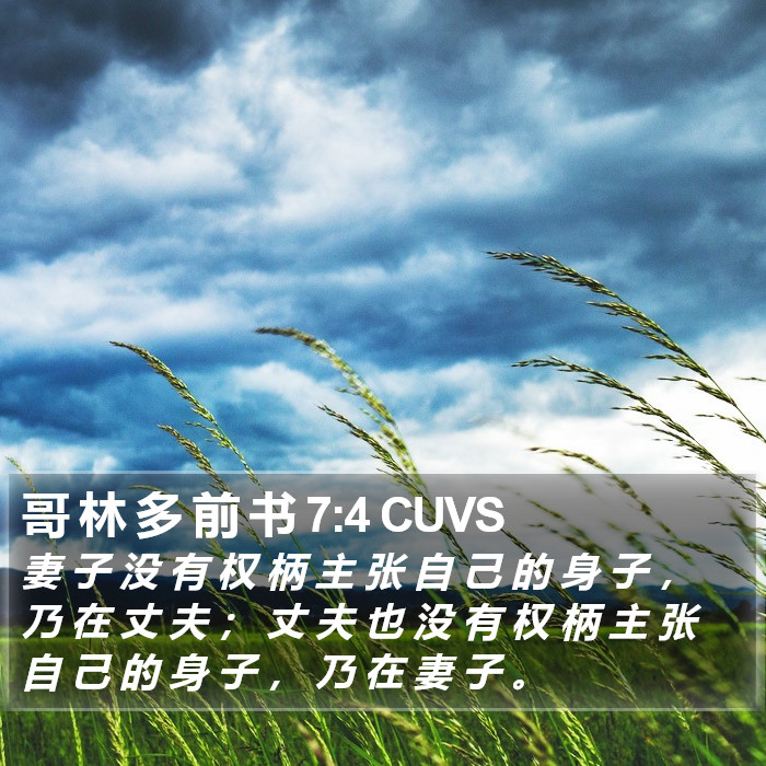 哥 林 多 前 书 7:4 CUVS Bible Study