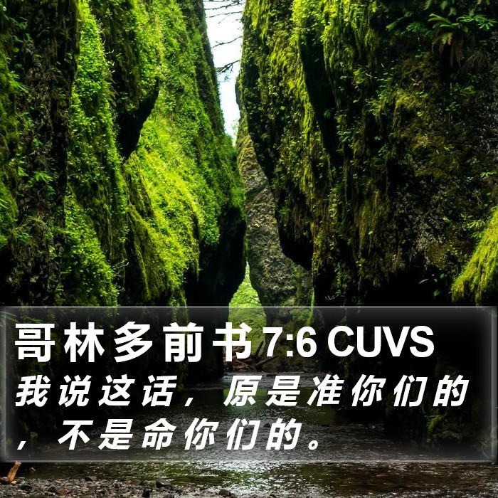 哥 林 多 前 书 7:6 CUVS Bible Study