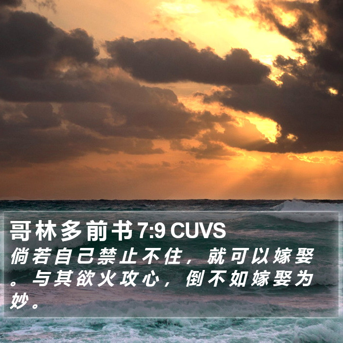 哥 林 多 前 书 7:9 CUVS Bible Study