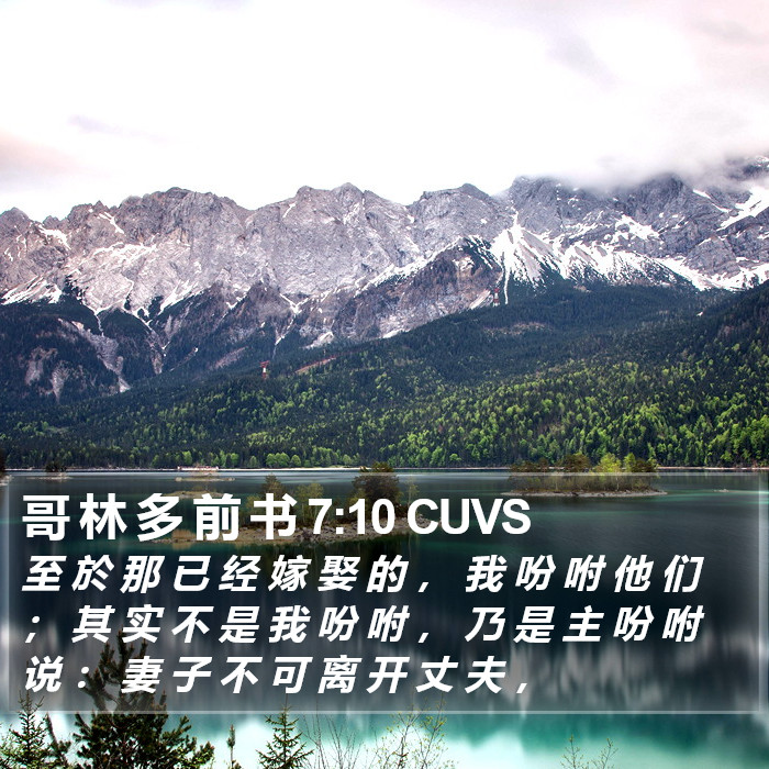 哥 林 多 前 书 7:10 CUVS Bible Study
