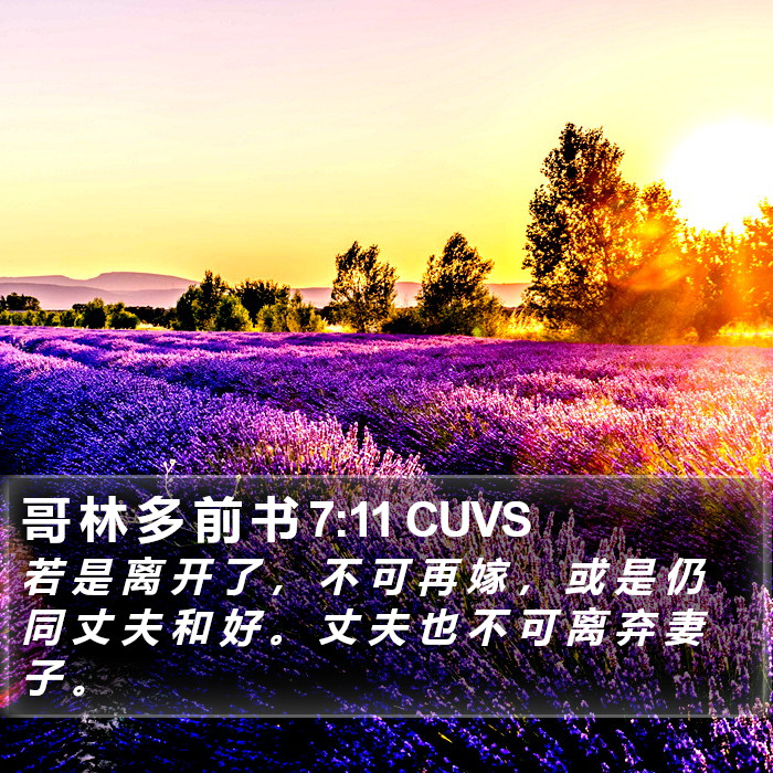 哥 林 多 前 书 7:11 CUVS Bible Study