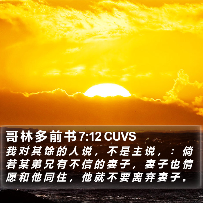 哥 林 多 前 书 7:12 CUVS Bible Study