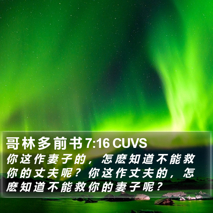 哥 林 多 前 书 7:16 CUVS Bible Study